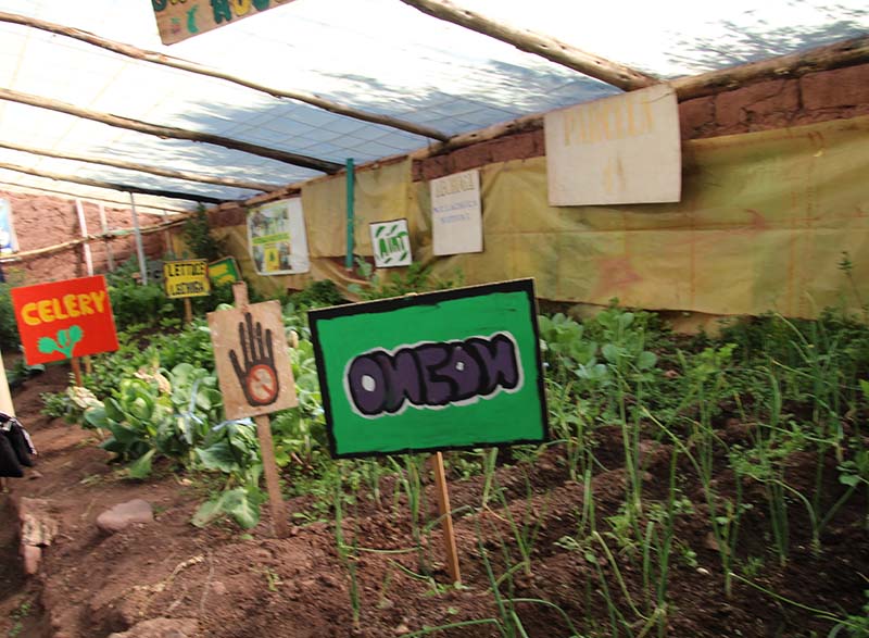 Greenhouse